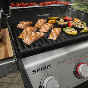 Spirit E-425 GBS